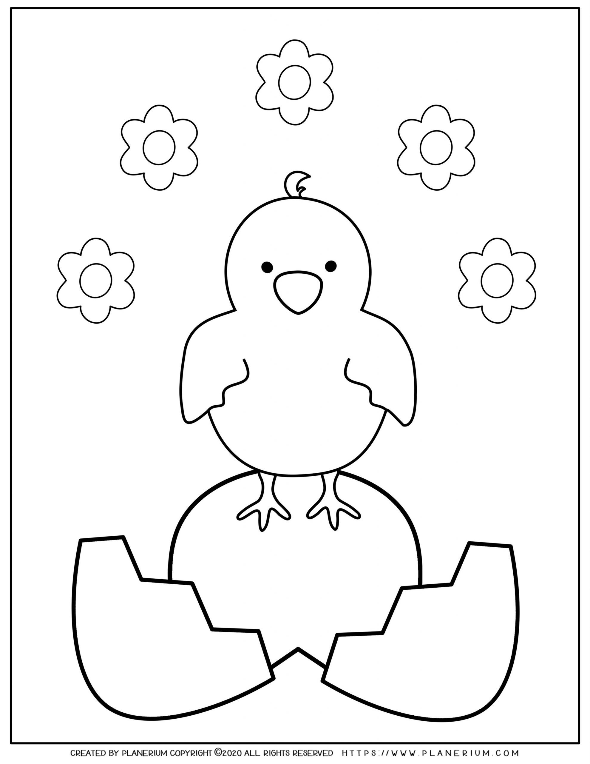 Download Easter - Coloring Page - Cute Chick on a broken Egg ...