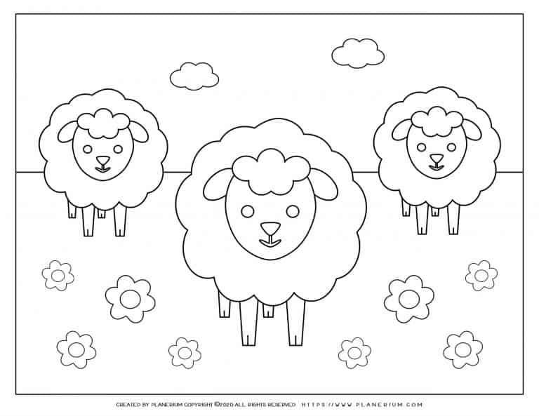 Easter coloring page - Three lambs in a flower field