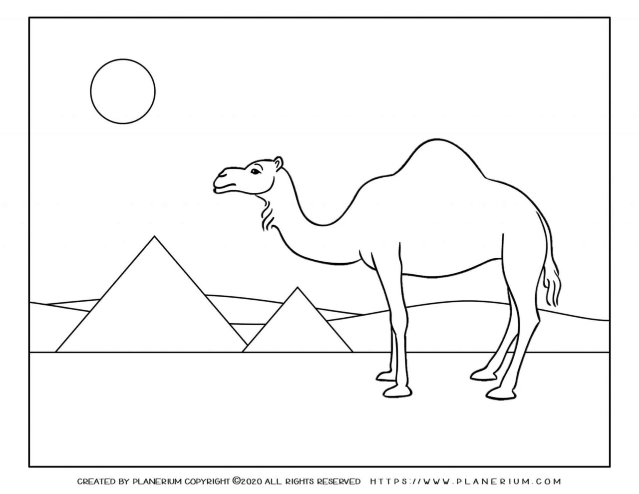 Passover coloring page - Camel and Pyramids