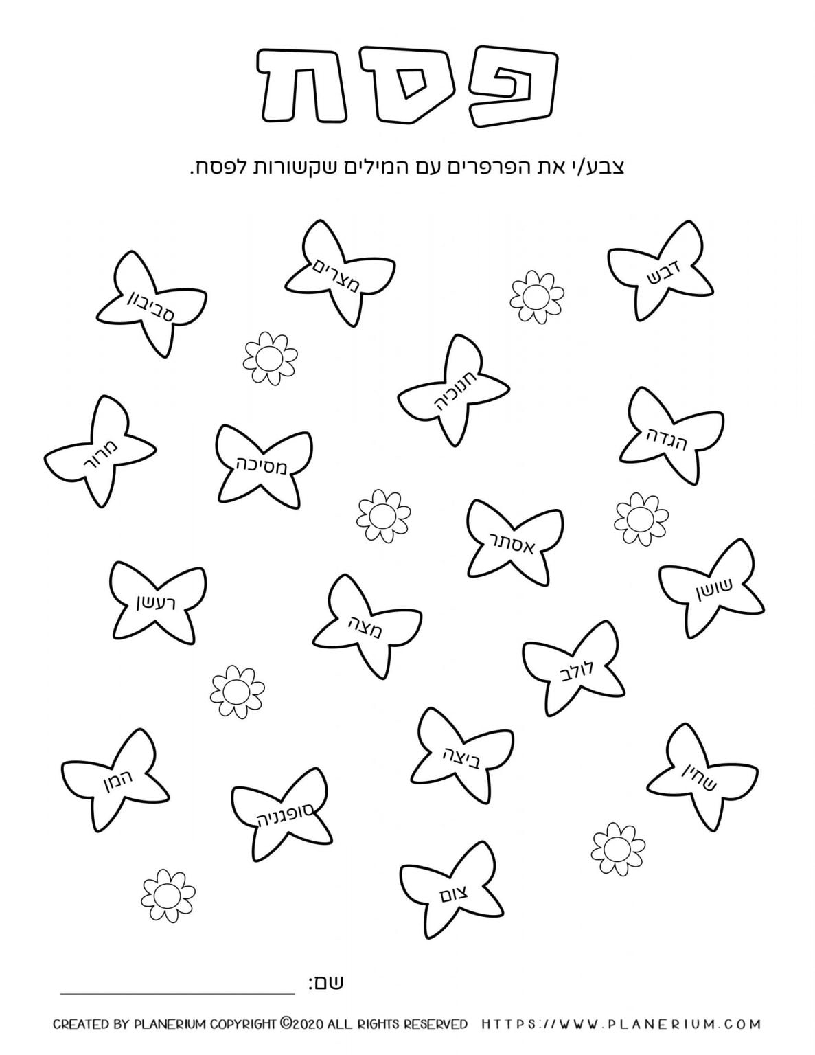 Passover worksheet - Related words on butterflies - Hebrew