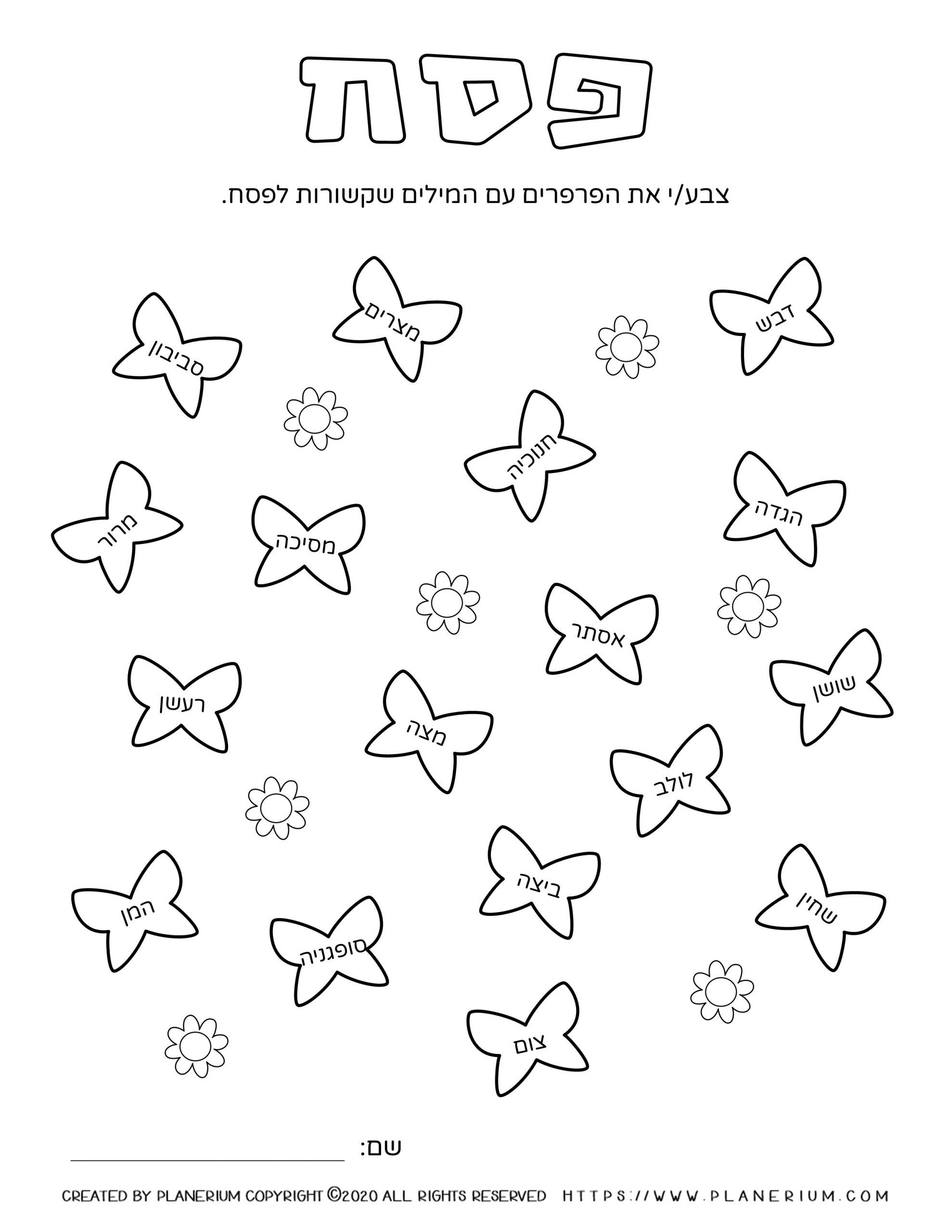 passover-worksheet-related-words-butterflies-hebrew Passover worksheet - Related words on butterflies - Hebrew