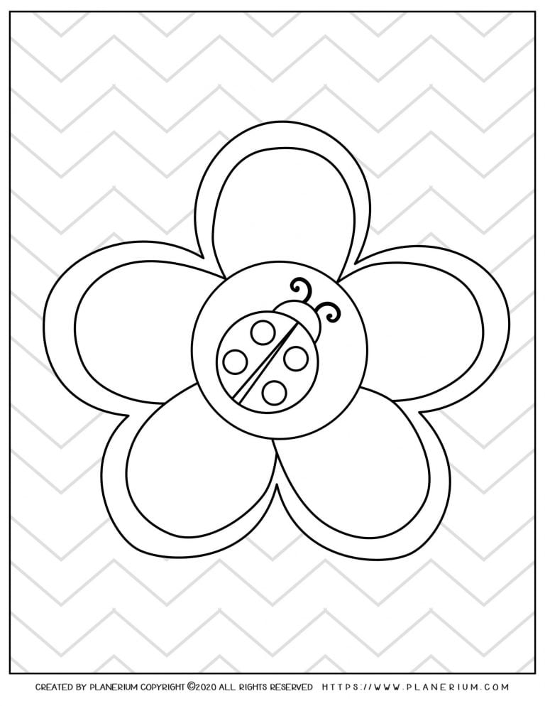 Spring coloring page - Ladybug on a flower and zigzag background