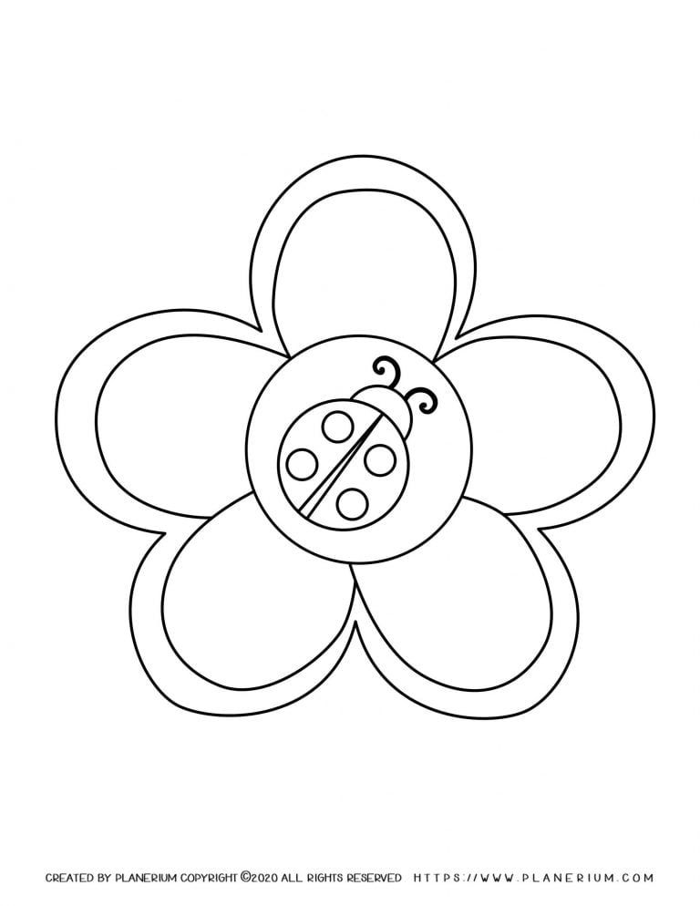 Spring coloring page - Flower with a Ladybug