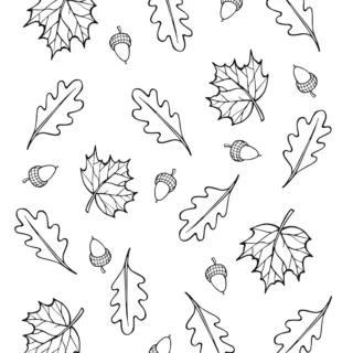 Fall Season - Coloring Page - Falling Leaves and Acorns