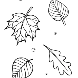 Fall Season - Coloring Page - Leaves