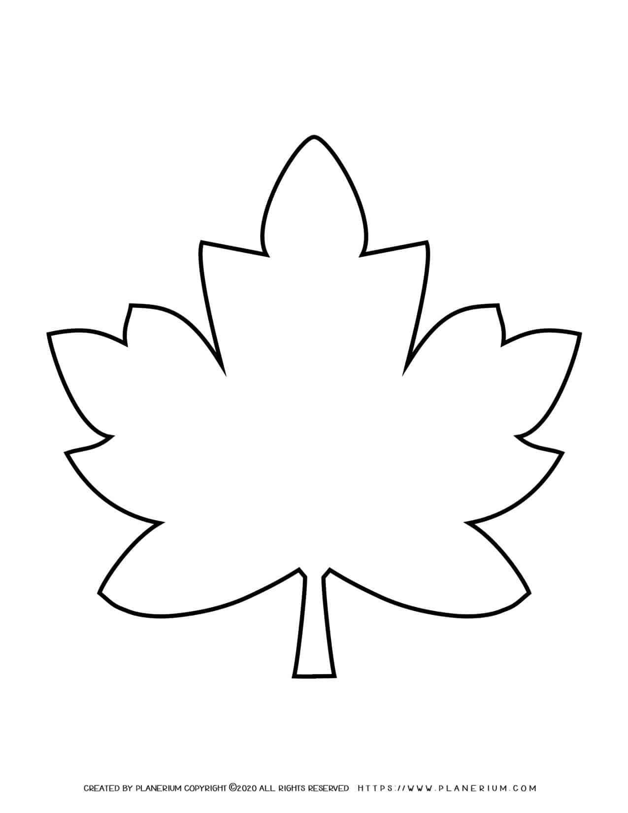 Fall Season - Coloring Page - Maple Leaf Template