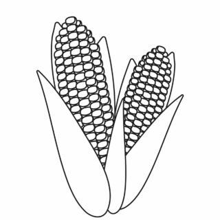 Corn - Coloring Page | Planerium