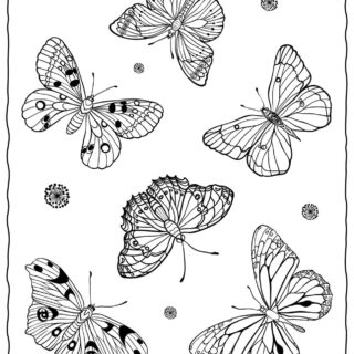 Adult Coloring Pages with Six Butterflies | Planerium