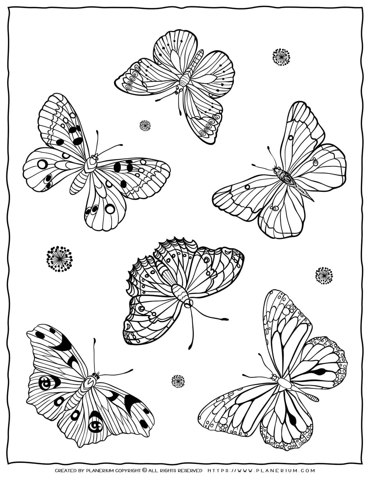 Butterfly Coloring Pages   Free printable   Planerium