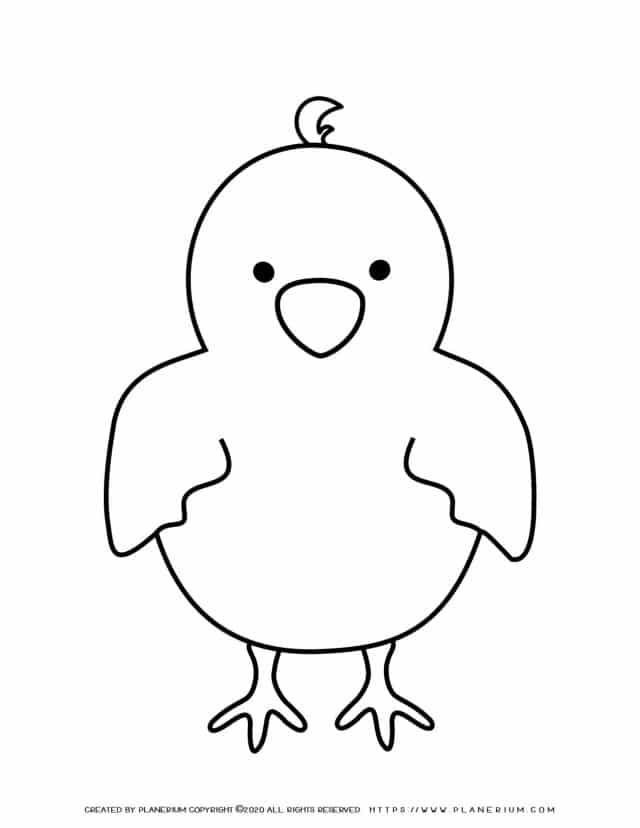 Baby Chick - Coloring Pages | Planerium