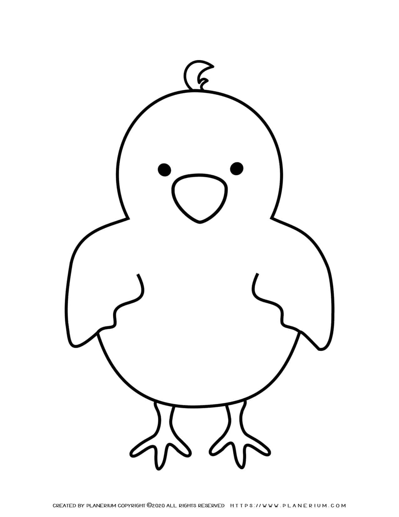 Baby Chick - Coloring Pages | Planerium