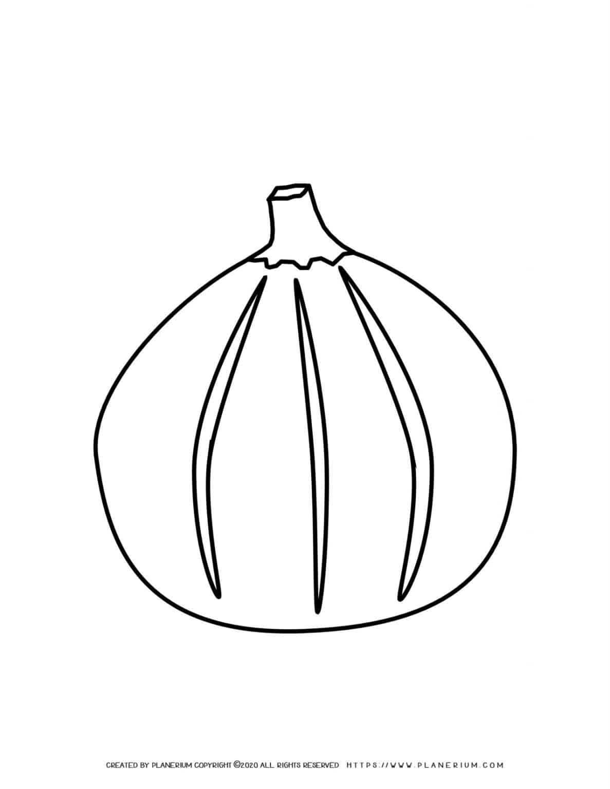 Fig - Coloring page | Planerium