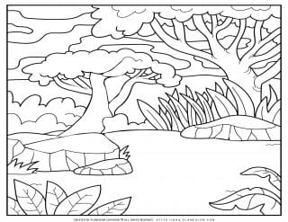 Forest Coloring Page | Planerium