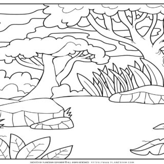 Forest Coloring Page | Planerium
