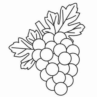 Grapes - Coloring page | Planerium