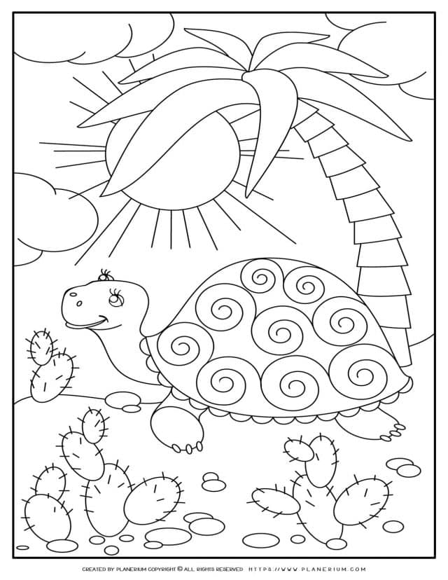 Turtle And Palm Tree | Planerium