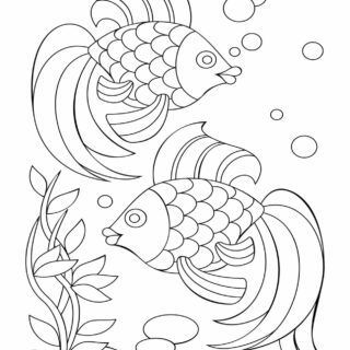 Detailed underwater scene with two fish coloring page for kids.