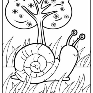 Animals Coloring Page - Snail | Planerium