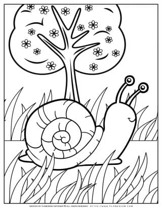 Animals Coloring Page - Snail | Planerium