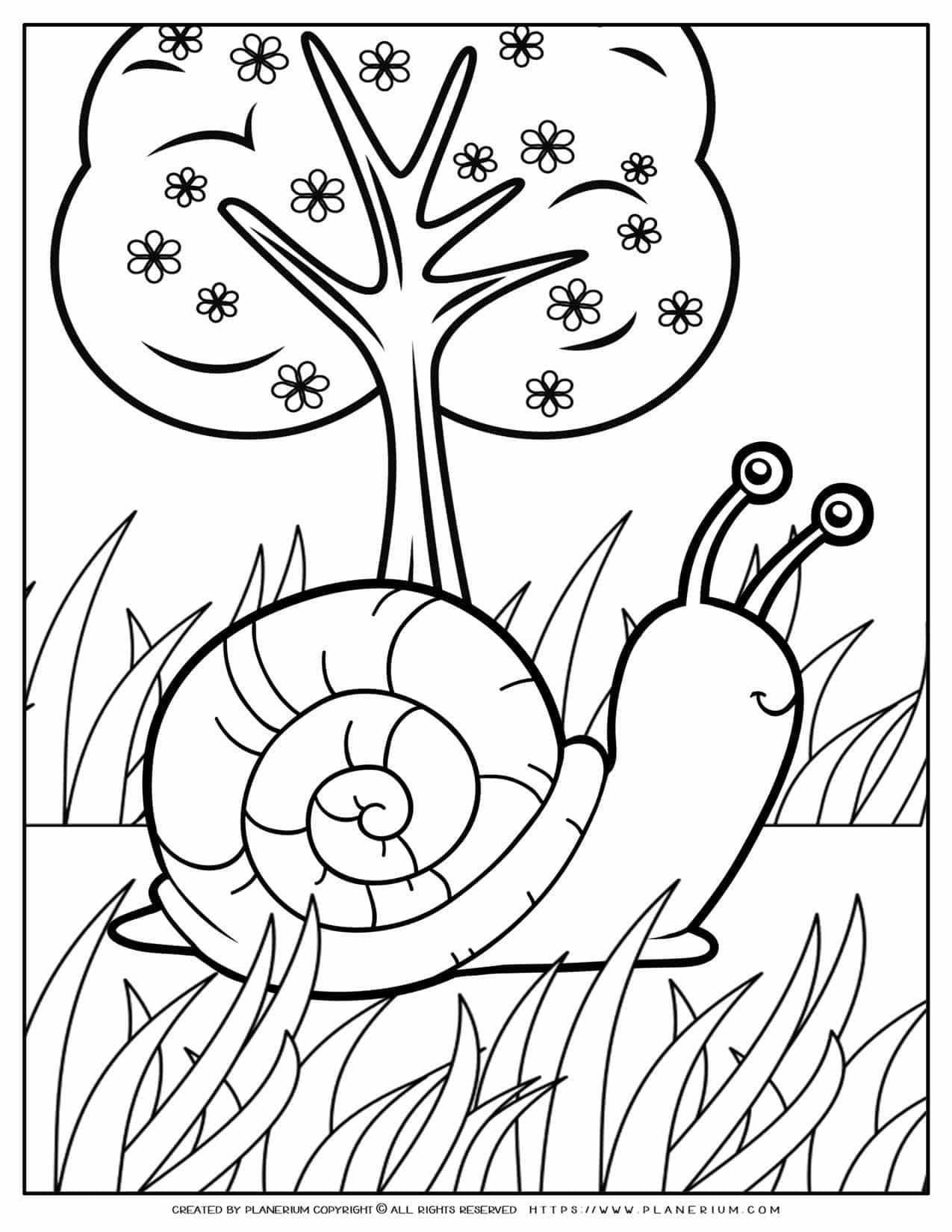 Animals Coloring Page - Snail | Planerium