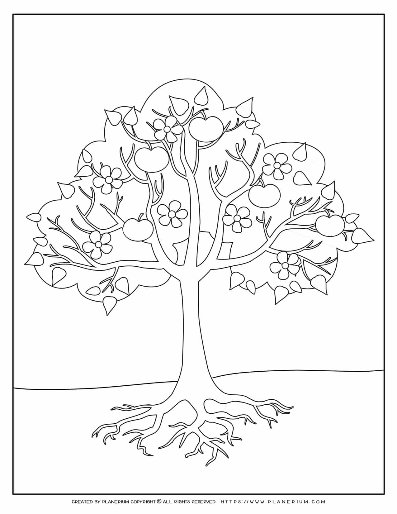 Apple Tree Coloring Page | Planerium