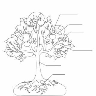 Apple Tree - Custom Worksheet | Planerium