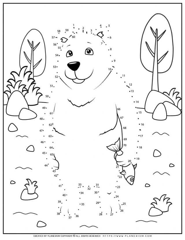 Bear Connect The Dots for Kids in Grades 1-4