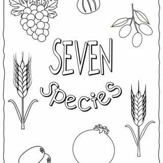 Shavuot Coloring Page - The Seven Species | Planerium