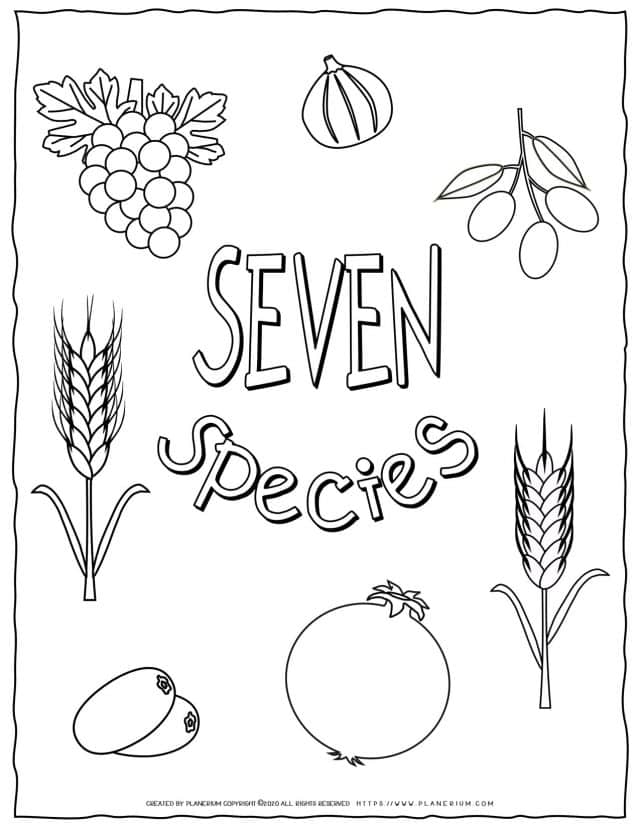 Shavuot Coloring Page - The Seven Species | Planerium