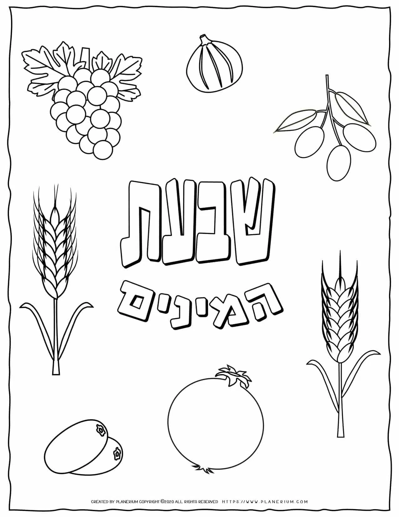 Shavuot Coloring Page - The Seven Species in Hebrew | Planerium