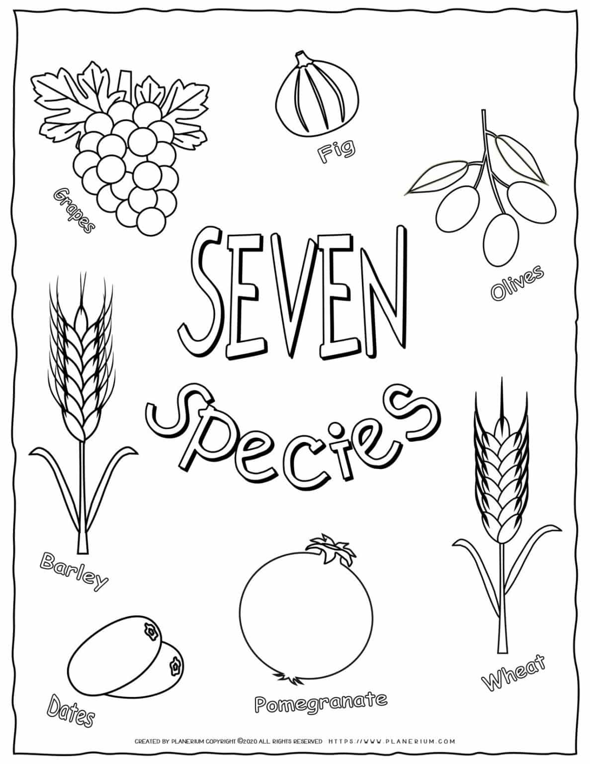 Shavuot Coloring Page - The Seven Species with English Titles | Planerium