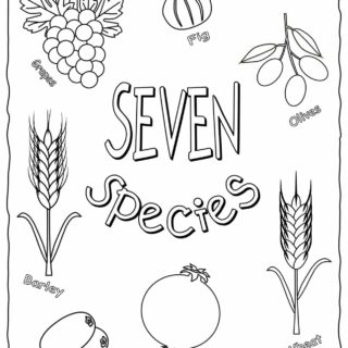 Shavuot Coloring Page - The Seven Species with English Titles | Planerium