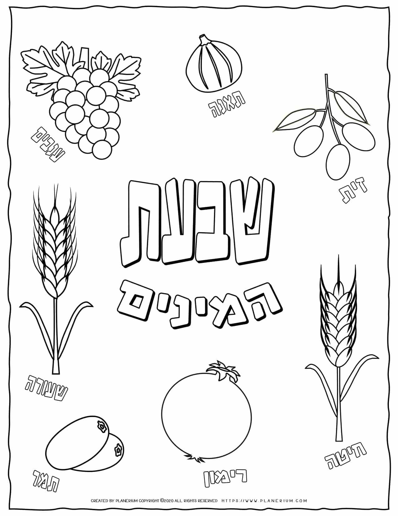Shavuot Coloring Page - The Seven Species with Hebrew Titles | Planerium