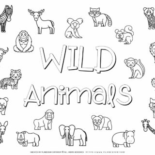 Wild Animals Images | Planerium