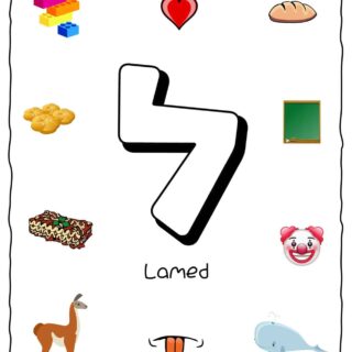 Hebrew Alphabet - Objects That Starts With Letter Lamed | Planerium