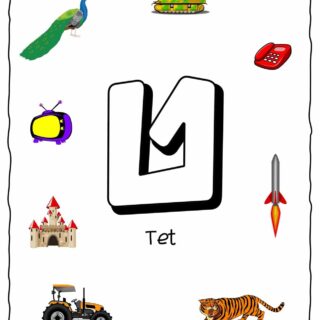 Hebrew Alphabet - Objects That Starts With Letter Tet | Planerium