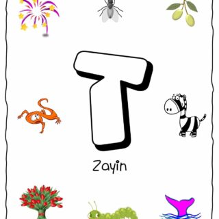 Hebrew Alphabet - Objects That Starts With Letter Zayin | Planerium