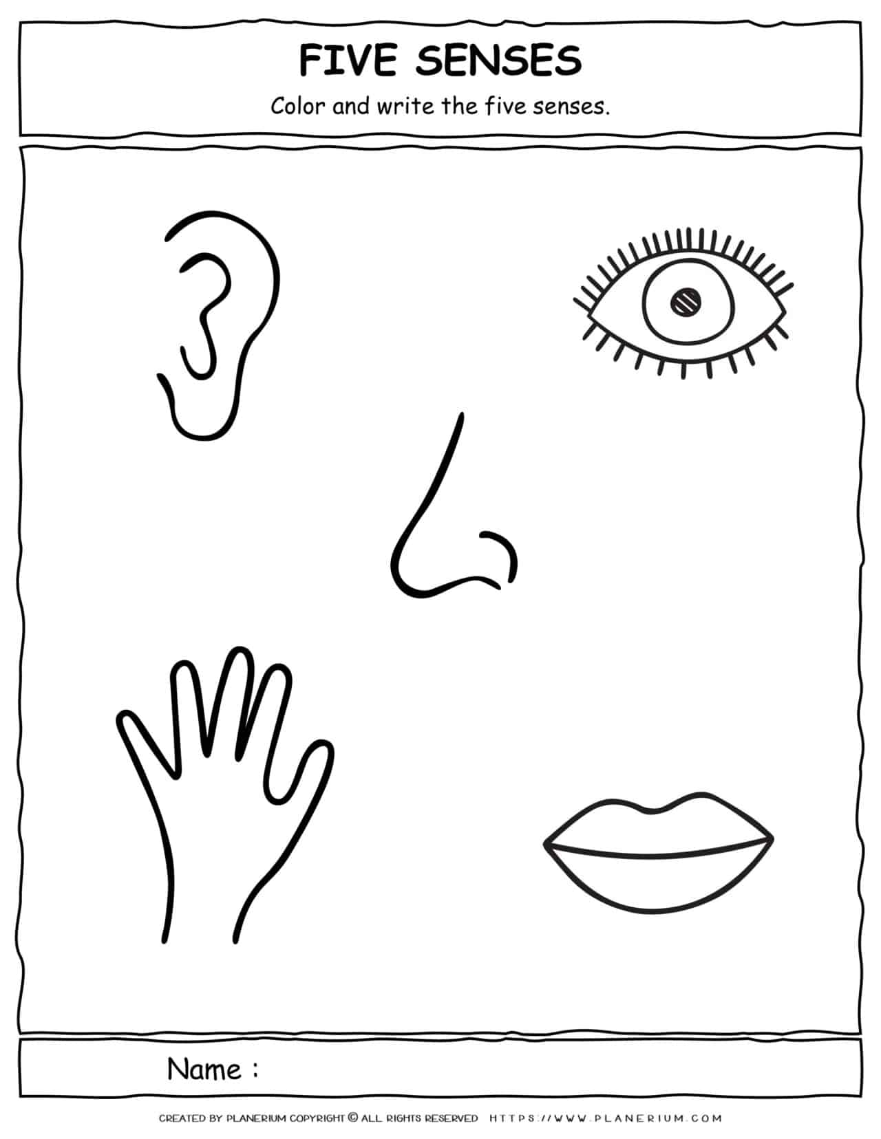 the five senses coloring pages