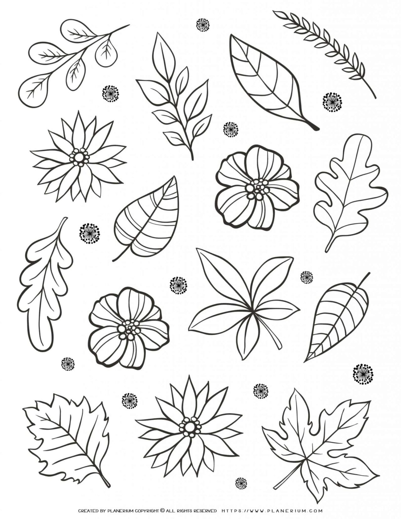 Adult Coloring Page - Flowers And Leaves | Planerium