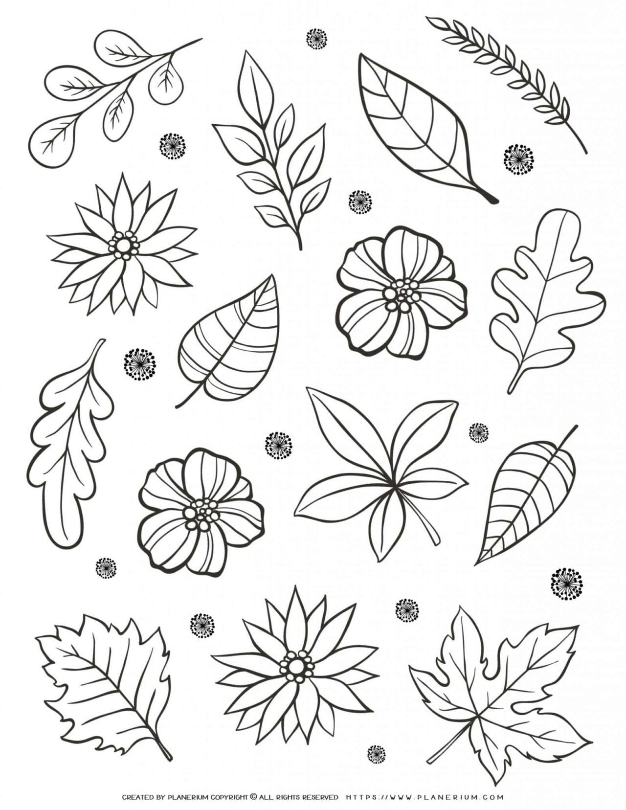 Adult Coloring Page - Flowers And Leaves | Planerium