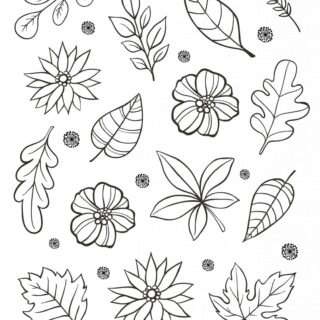 Adult Coloring Page - Flowers And Leaves | Planerium