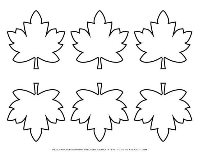 Maple Leaves Template - Six Leaves | Planerium