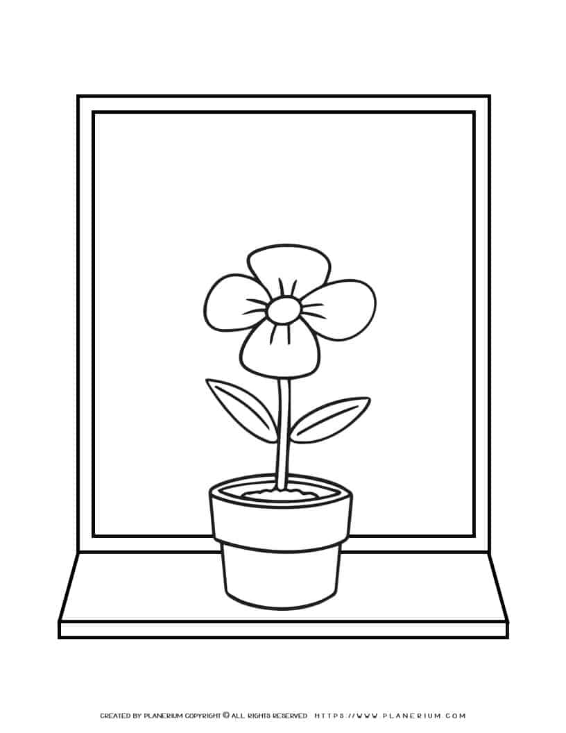 Flower In a Pot on Windowsill - Coloring Page | Planerium