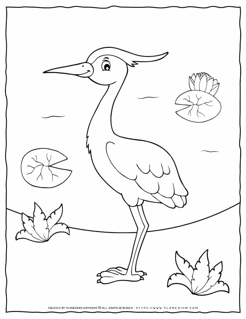 Bird Coloring Page - Egret | Planerium