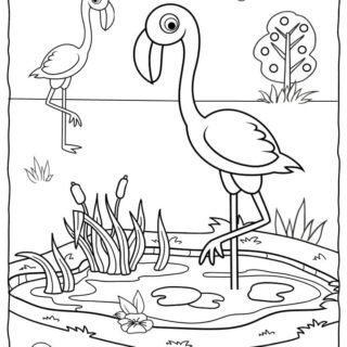 Bird Coloring Page - Flamingos | Planerium