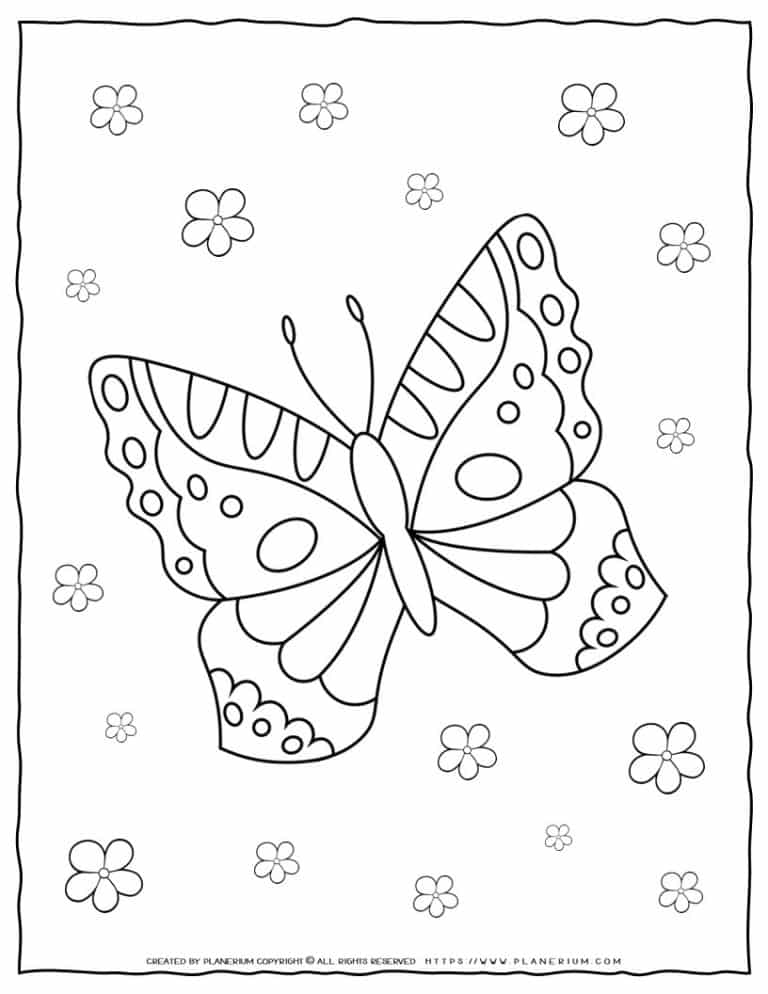 Butterfly Coloring Page | Planerium