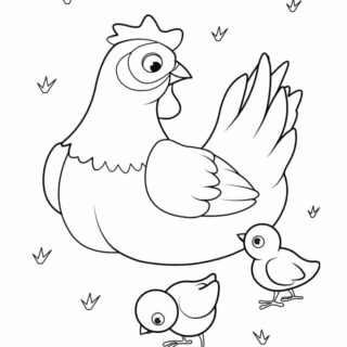 Chicken Coloring Page - Chicken With Chicks | Planerium