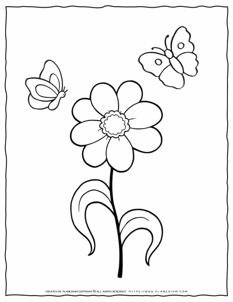 Flower Coloring Page | Planerium