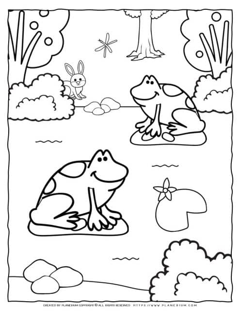 Frogs Coloring Page | Planerium