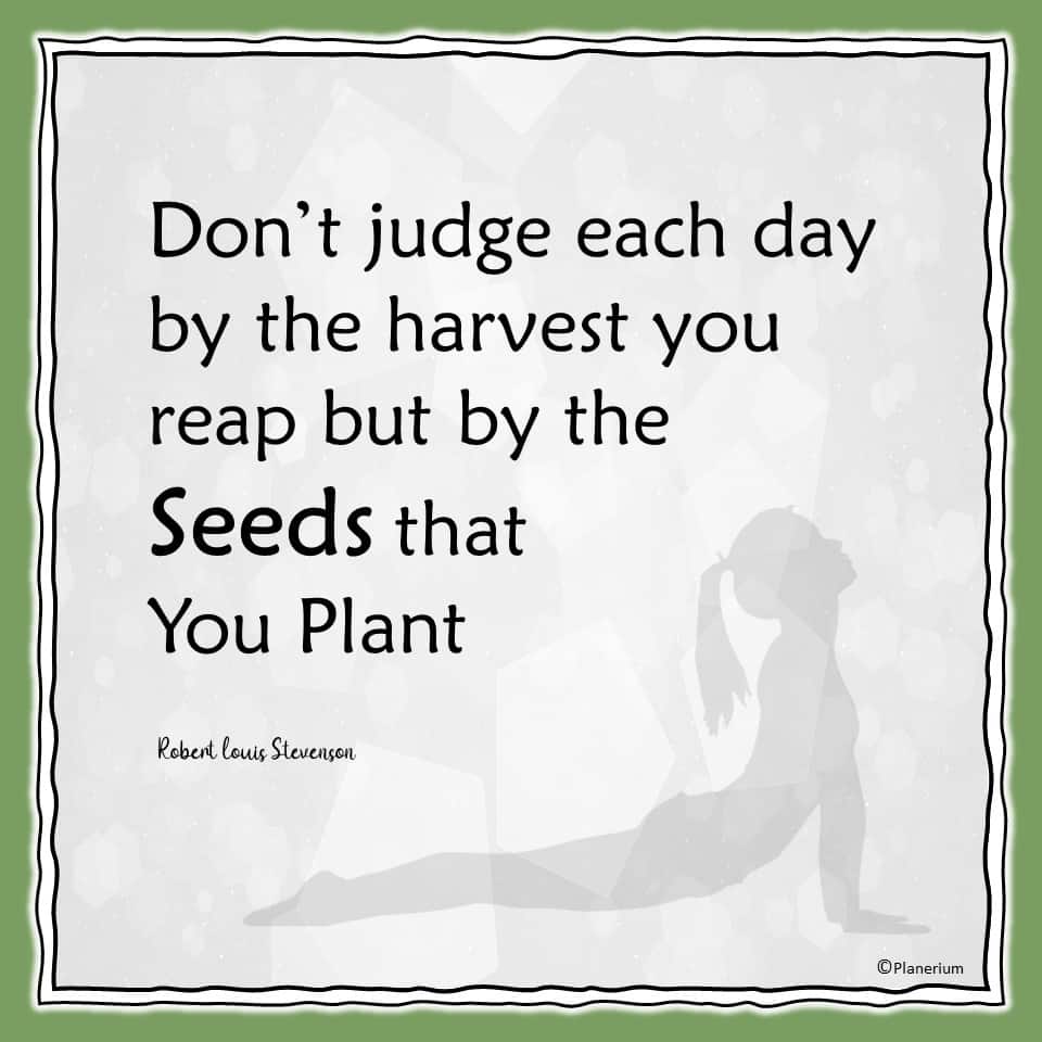Inspirational Quotes - The Seeds That You Plant | Planerium